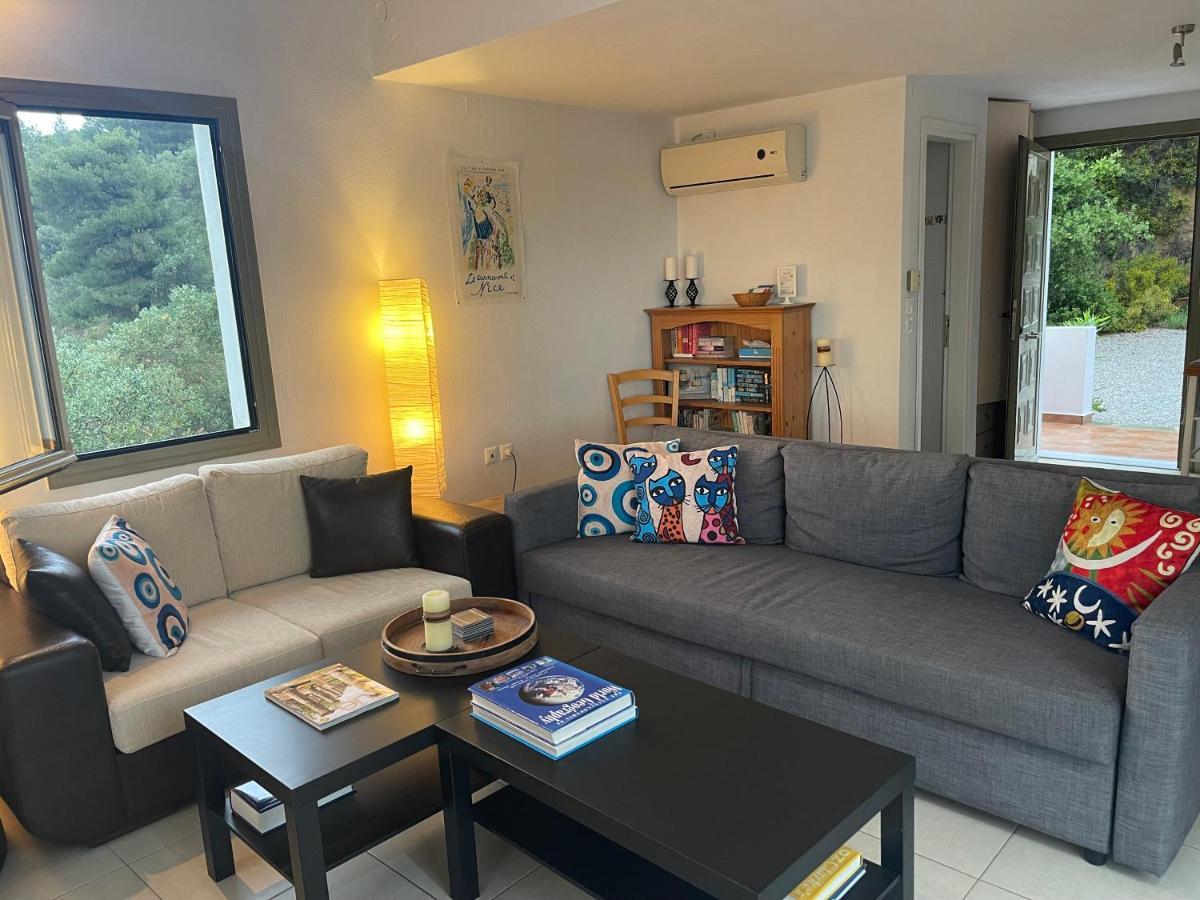 Skiathos Seaview Villa With Pool Πούντα Εξωτερικό φωτογραφία