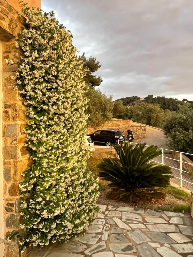 Skiathos Seaview Villa With Pool Πούντα Εξωτερικό φωτογραφία